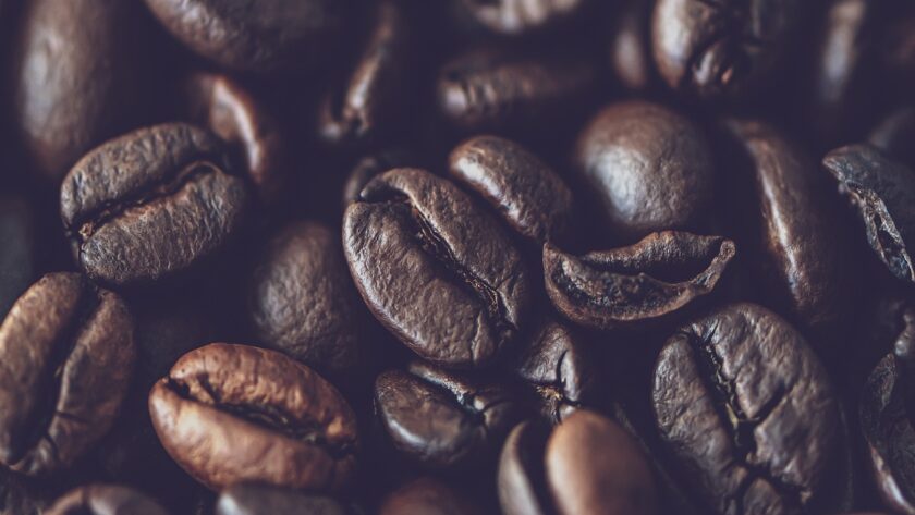Starbucks 2% Milch vs. fettarme Milch - Welche ist besser?