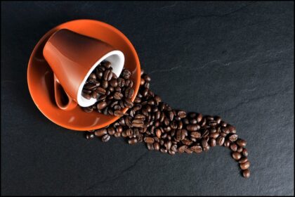 Starbucks in Dänemark: Alles, was Sie wissen müssen