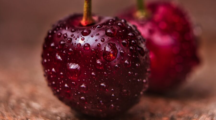 Was ist in Starbucks Zuckerfreiem Vanillesirup enthalten?